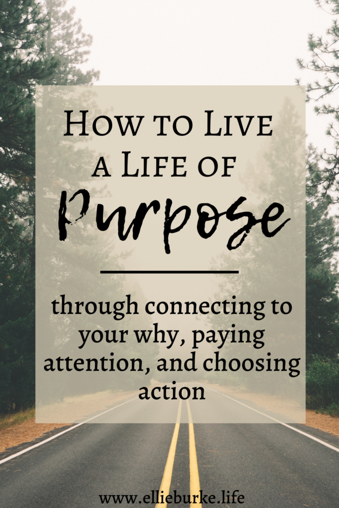 live a life of purpose pin